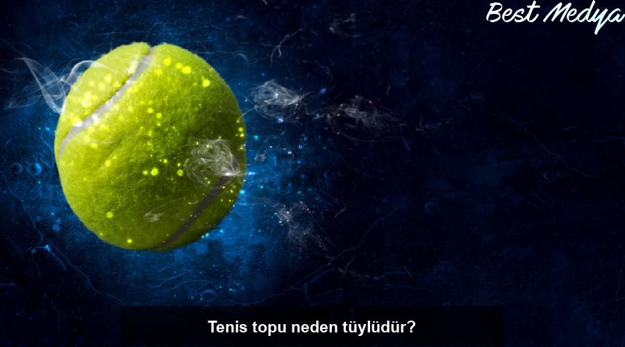 tenis-topu-neden-tuyludur-6pPkGlRt.jpg