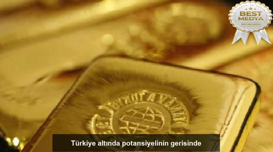 turkiye-altinda-potansiyelinin-gerisinde-hDHX9F26.jpg