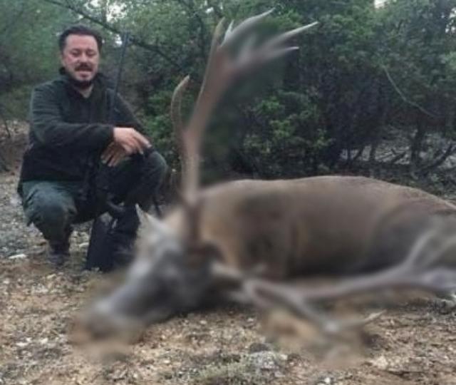 AK Parti'nin Eskişehir adayı Nebi Hatipoğlu'nun geyik ve yaban domuzu avladığı görüntüler ortaya çıktı