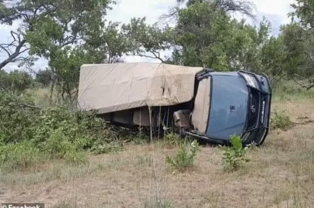 Zambiya'da safariye çıkan turistlere fil saldırdı: 80 yaşındaki kadın hayatını kaybetti