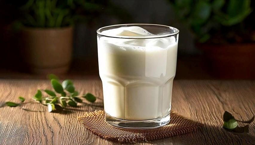 Ayran üretiminde rekor