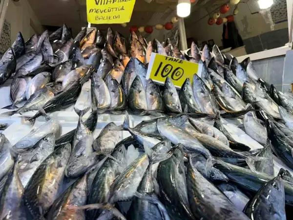 Hamsi fiyatları palamudu geçti: Karadeniz'in incisi 200 TL'den satılıyor