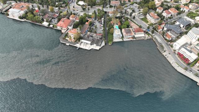 İstanbul Boğazı'nın son hali dehşete düşürdü!